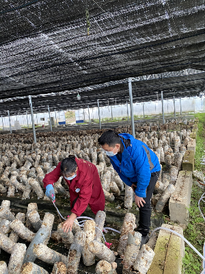 637323940257287972