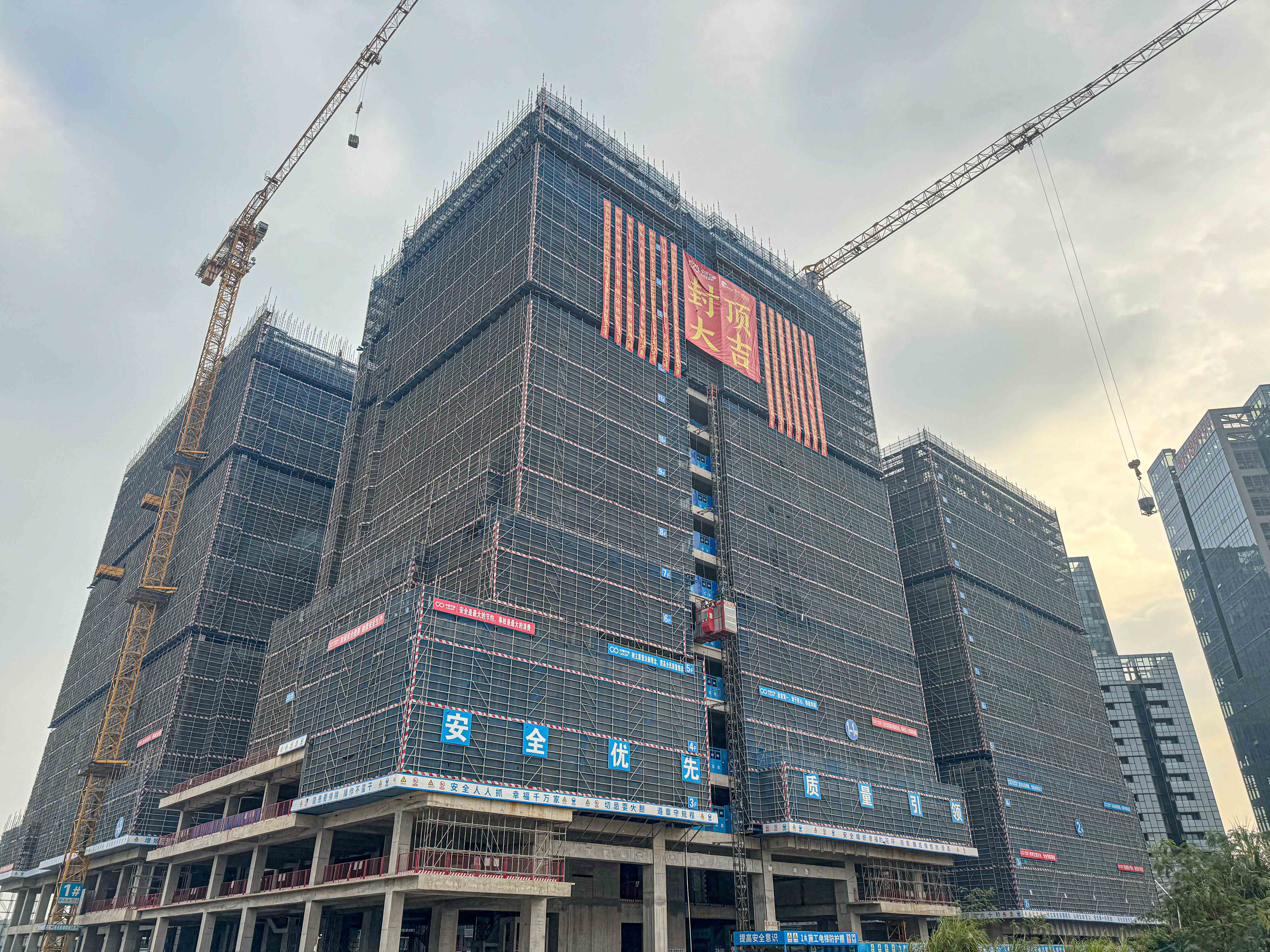 �ǹ��ɶ� - �����ʵ���Ϸ��Ӫ�̹���